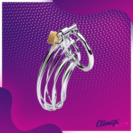 Stainless Steel Iron Wire Male Chastity Lock BDSM-016