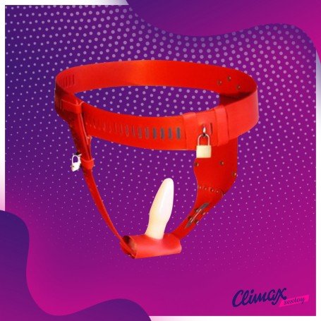 Chastity Lock Device for Women BDSM-002