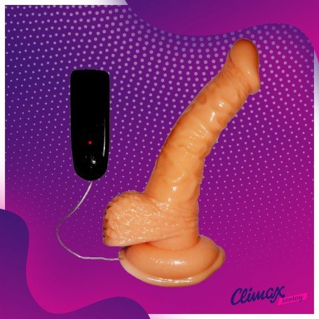 Whoppers Curved Vibrating Suction Cup Realistic Vibrator RSV-078