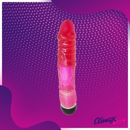 Long Tough Jelly Realistic Vibrator RSV-024