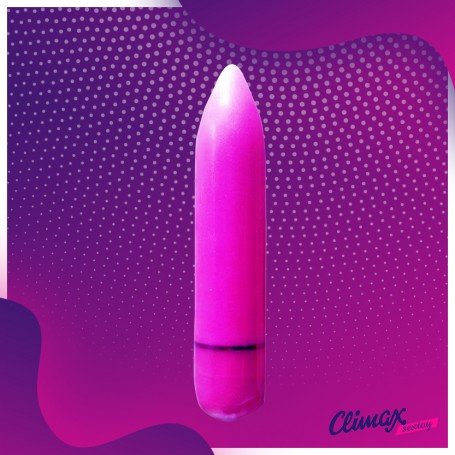 Female Purse Vibrator RSV-004