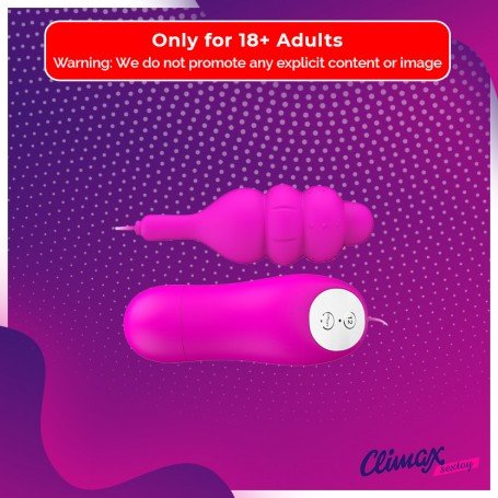 Purple Bullet Vibrator with 12 Vibration Settings BV-042